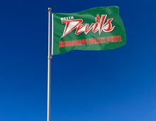 Load image into Gallery viewer, outdoor display of mississippi valley state delta devils flag for tailgate decor
