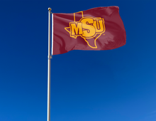 Load image into Gallery viewer, outdoor display of maroon msu mustangs flag for tailgate decor
