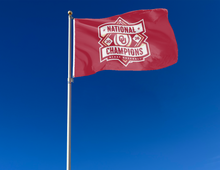 Load image into Gallery viewer, outdoor display of oklahoma baseball college world series 2026 champions flag for tailgate decor
