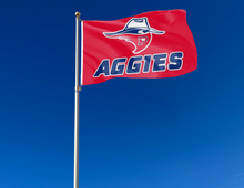 Load image into Gallery viewer, outdoor display of red oklahoma panhandle state aggies flag for tailgate decor
