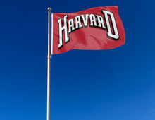 Load image into Gallery viewer, outdoor display of red harvard 3x5 flag for tailgate decor
