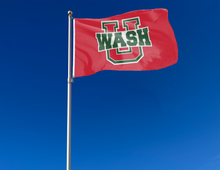 Load image into Gallery viewer, outdoor display of washington university st louis flag for tailgate decor
