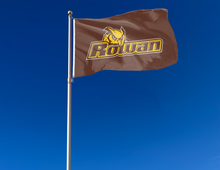 Load image into Gallery viewer, outdoor display of brown rowan university profs flag for tailgate decor
