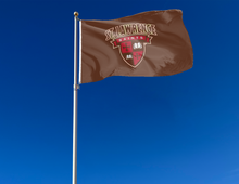 Load image into Gallery viewer, outdoor display of brown st lawrence university saints 3x5 flag for tailgate decor
