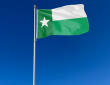 Load image into Gallery viewer, outdoor display of state flag of texas style university of north texas flag for tailgate decor
