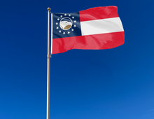 Load image into Gallery viewer, outdoor display of state of georgia flag style georgia southern eagles flag for tailgate decor
