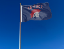 Load image into Gallery viewer, outdoor display of texas a&amp;m central texas flag for tailgate decor
