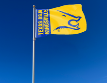 Load image into Gallery viewer, outdoor display of texas a&amp;m kingsville flag for tailgate decor
