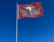 Load image into Gallery viewer, outdoor display of maroon texas A&amp;M texarkana eagles flag for tailgate decor
