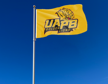 Load image into Gallery viewer, outdoor display of uapb golden lions flag for tailgate decor
