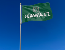 Load image into Gallery viewer, outdoor display of green university of hawaii rainbow warriors flag for tailgate decor

