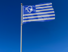 Load image into Gallery viewer, outdoor display of usa flag style seton hall pirates flag for tailgate decor
