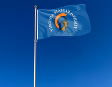 Load image into Gallery viewer, outdoor display of blue virginia state trojans flag for tailgate decor
