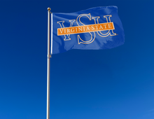 Load image into Gallery viewer, outdoor display of virginia state university flag for tailgate decor
