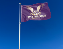 Load image into Gallery viewer, outdoor display of purple westminster university griffins for tailgate decor
