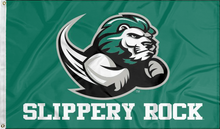 Load image into Gallery viewer, green slippery rock university flag for college dorm decor
