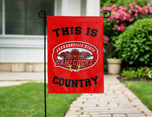 Load image into Gallery viewer, this is jacksonville state gamecocks country garden flag for yard decor
