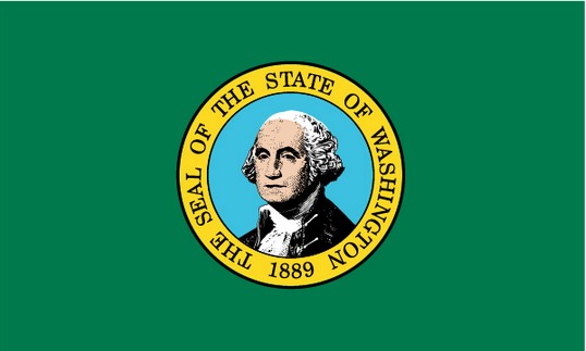 State of Washington 3x5 Flag