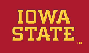 Iowa State - 3x5 Flag