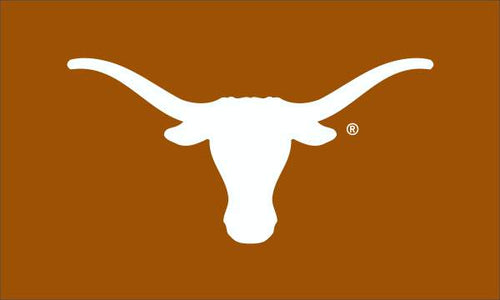 Orange 3x5 Texas Longhorns Flag