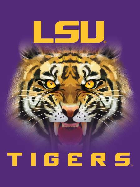 LSU - TIger Eyes House Flag