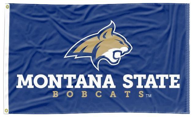 3x5 Montana State University Flag