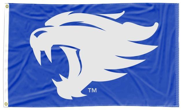 Kentucky - Wildcat Blue 3x5 Flag