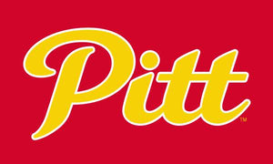 Pittsburg State University - Pitt 3x5 Flag