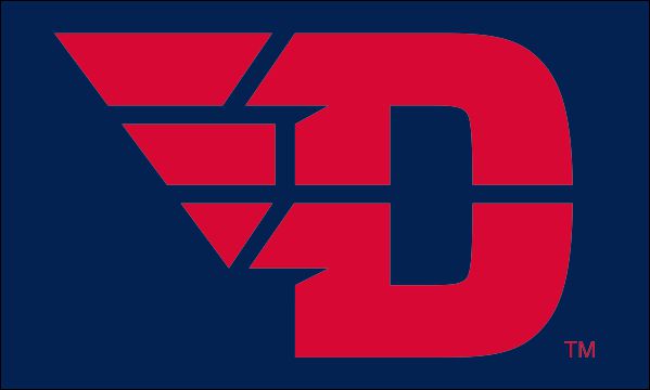 University of Dayton - Flying D 3x5 Flag