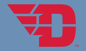 University of Dayton - Flying D 3x5 Flag