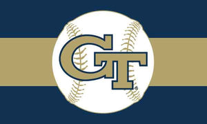 Georgia Tech - Yellow Jackets Baseball 3x5 Flag