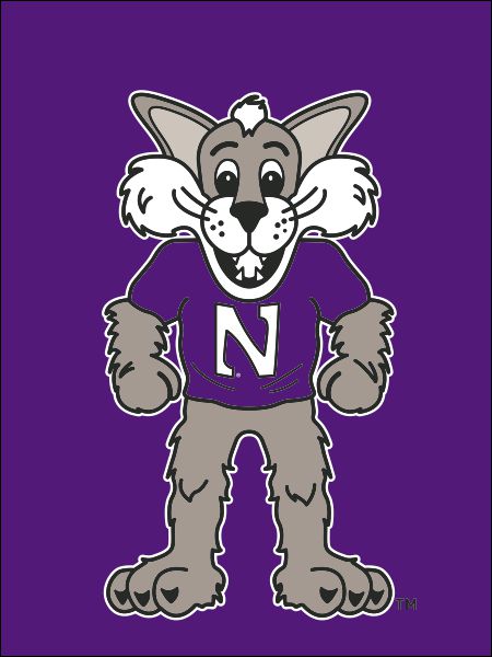 Northwestern University - Willie The Wildcat House Flag