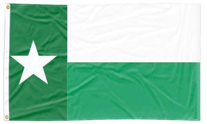 North Texas University - State Style 3x5 Flag