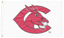 Load image into Gallery viewer, University of Central Missouri - C Mule White 3x5 Flag

