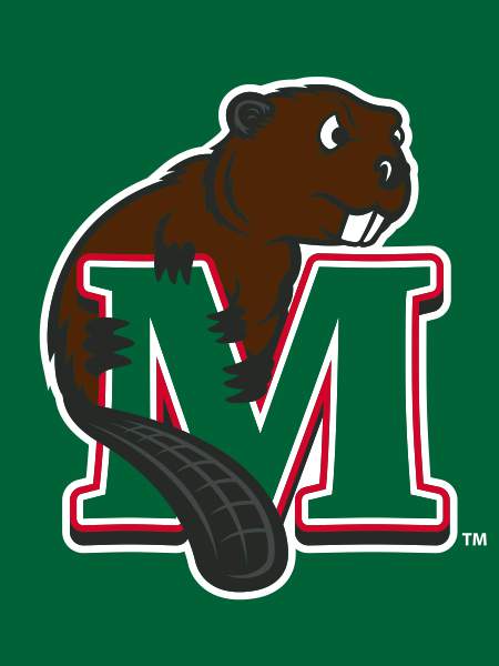 Minot State - Beavers House Flag