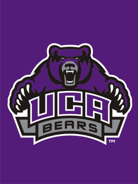 University of Central Arkansas - UCA Bears House Flag