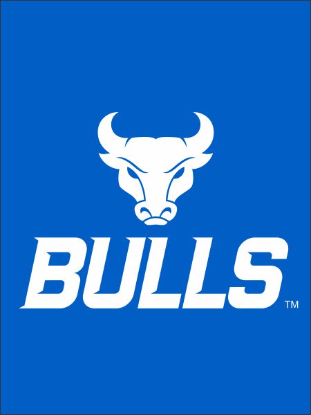 University at Buffalo - Bulls House Flag