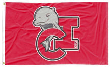 Load image into Gallery viewer, California State University Channel Islands - Dolphins 3x5 Flag
