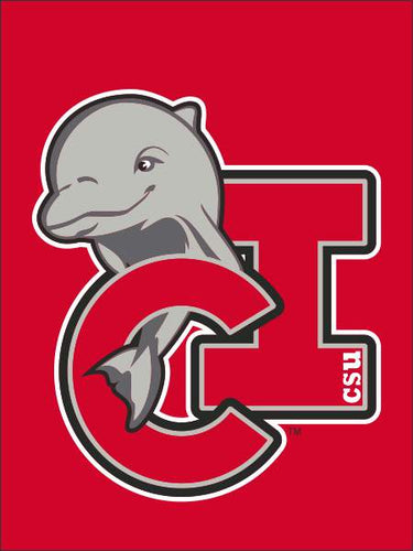 The Channel Islands California State University Channel Islands...