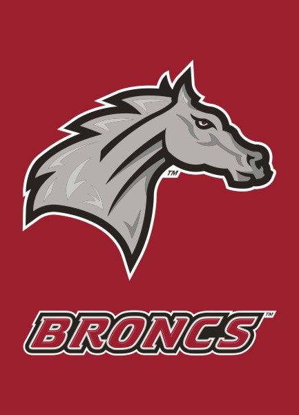 Rider University - Broncs Garden Flag
