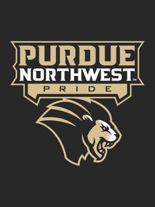 Purdue University Northwest - Pride House Flag