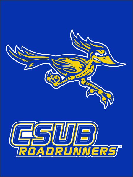 California State University Bakersfield - CSUB Roadrunners House Flag