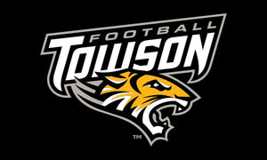 Towson University - Football 3x5 Flag