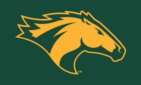 Cal Poly Pomona - Bronco 3x5 Flag
